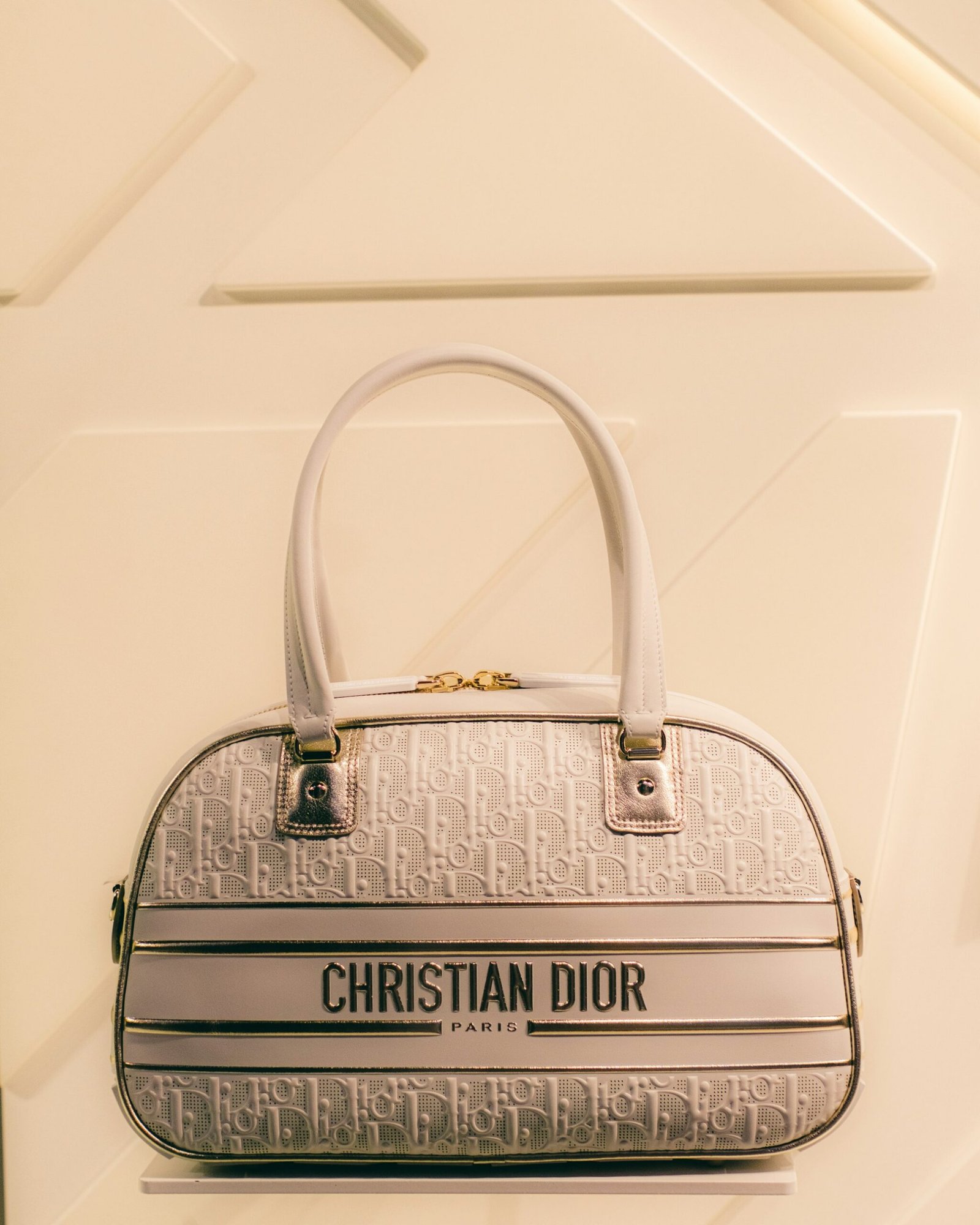 Dior Saddle: The Modern Classic